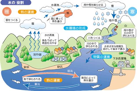 水 重要性|水環境および淡水生態系の保全について